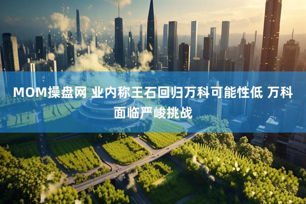 MOM操盘网 业内称王石回归万科可能性低 万科面临严峻挑战