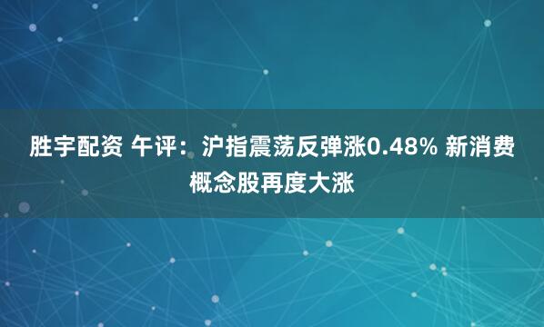 胜宇配资 午评：沪指震荡反弹涨0.48% 新消费概念股再度大涨