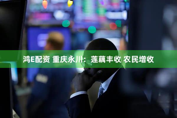 鸿E配资 重庆永川：莲藕丰收 农民增收