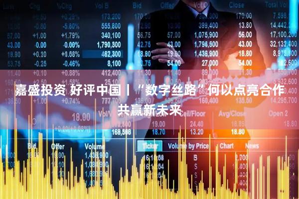 嘉盛投资 好评中国丨“数字丝路”何以点亮合作共赢新未来