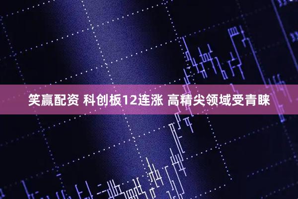 笑赢配资 科创板12连涨 高精尖领域受青睐
