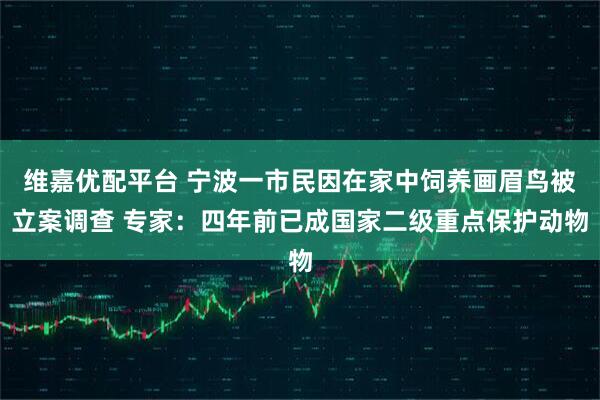 维嘉优配平台 宁波一市民因在家中饲养画眉鸟被立案调查 专家：四年前已成国家二级重点保护动物
