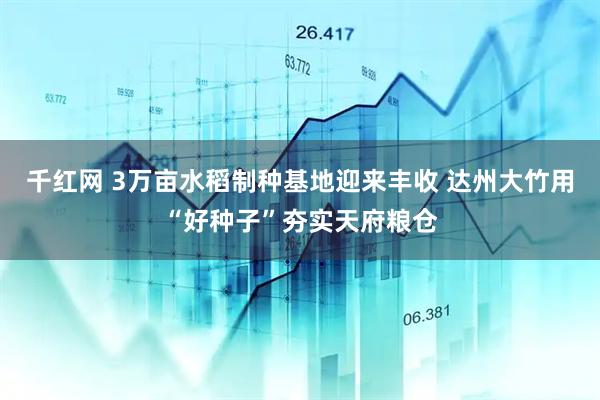 千红网 3万亩水稻制种基地迎来丰收 达州大竹用“好种子”夯实天府粮仓