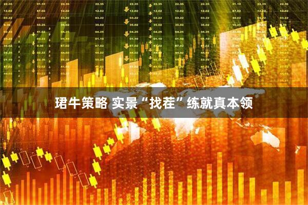 珺牛策略 实景“找茬”练就真本领