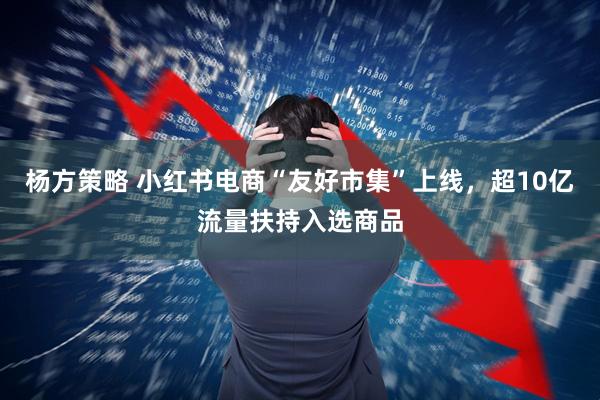 杨方策略 小红书电商“友好市集”上线，超10亿流量扶持入选商品