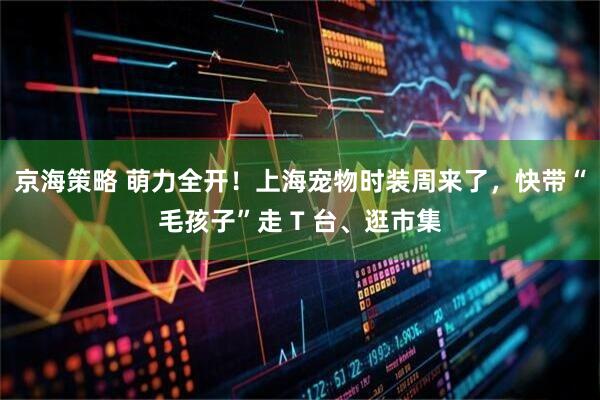 京海策略 萌力全开！上海宠物时装周来了，快带“毛孩子”走 T 台、逛市集