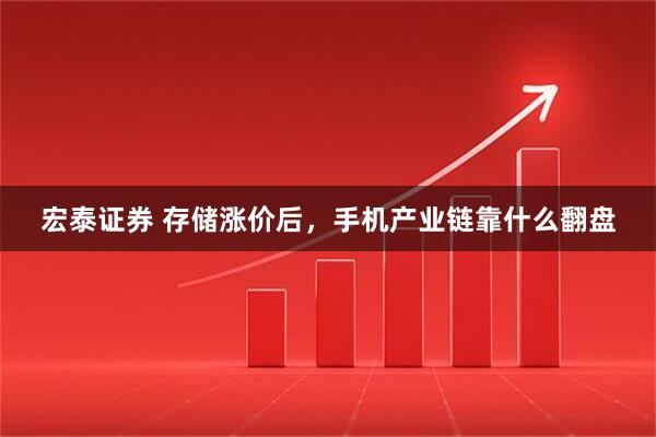 宏泰证券 存储涨价后，手机产业链靠什么翻盘